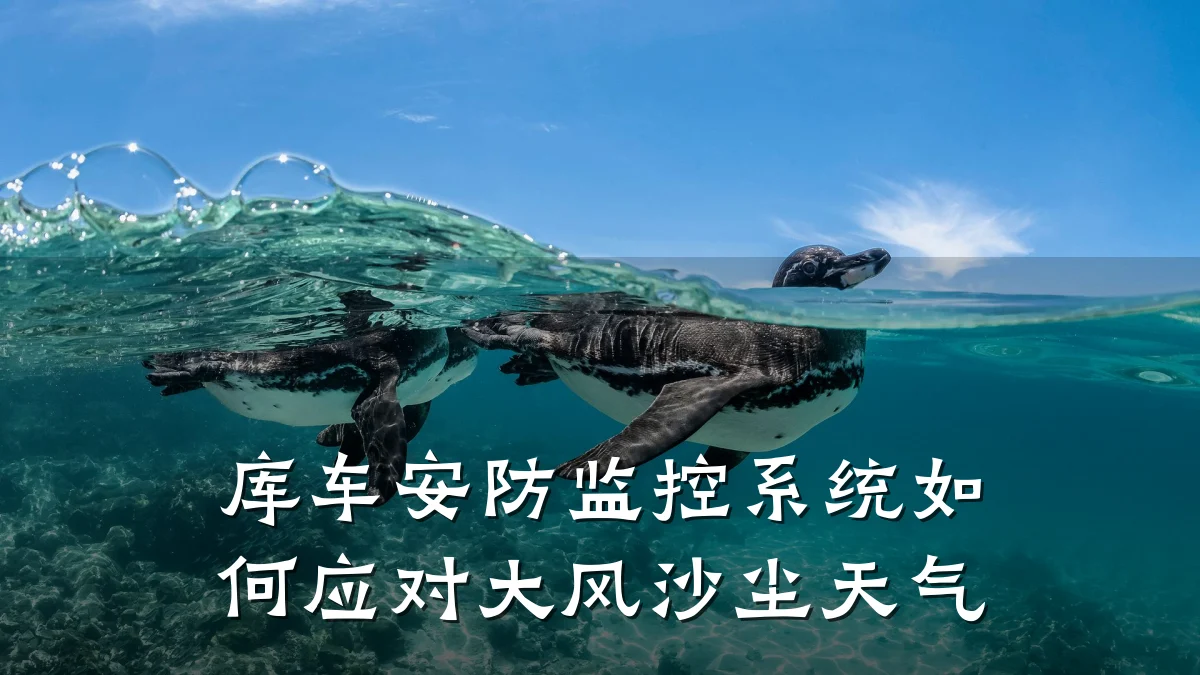 库车安防监控系统如何应对大风沙尘天气