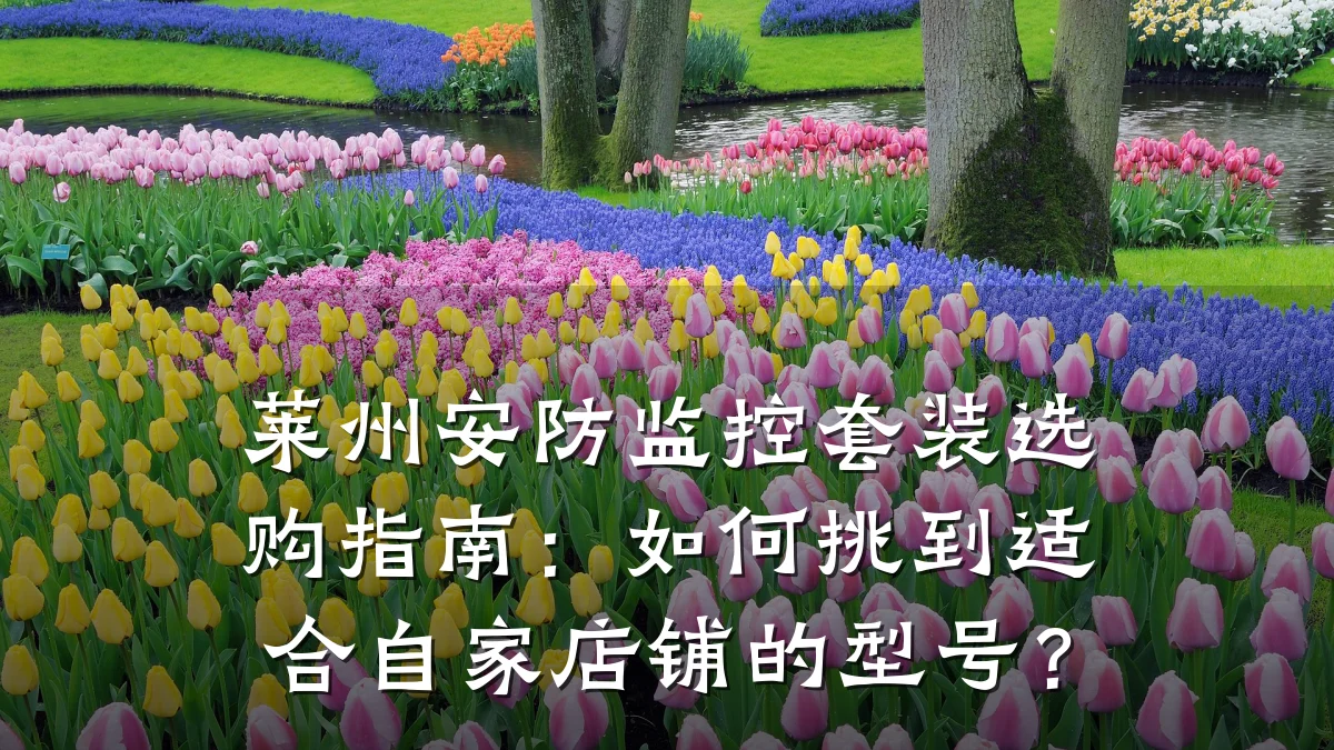 莱州安防监控套装选购指南:如何挑到适合自家店铺的型号?