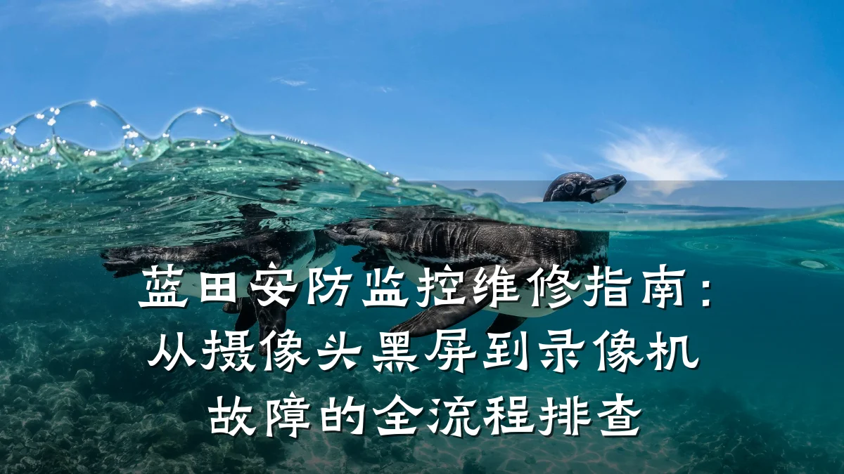 蓝田安防监控维修指南:从摄像头黑屏到录像机故障的全流程排查