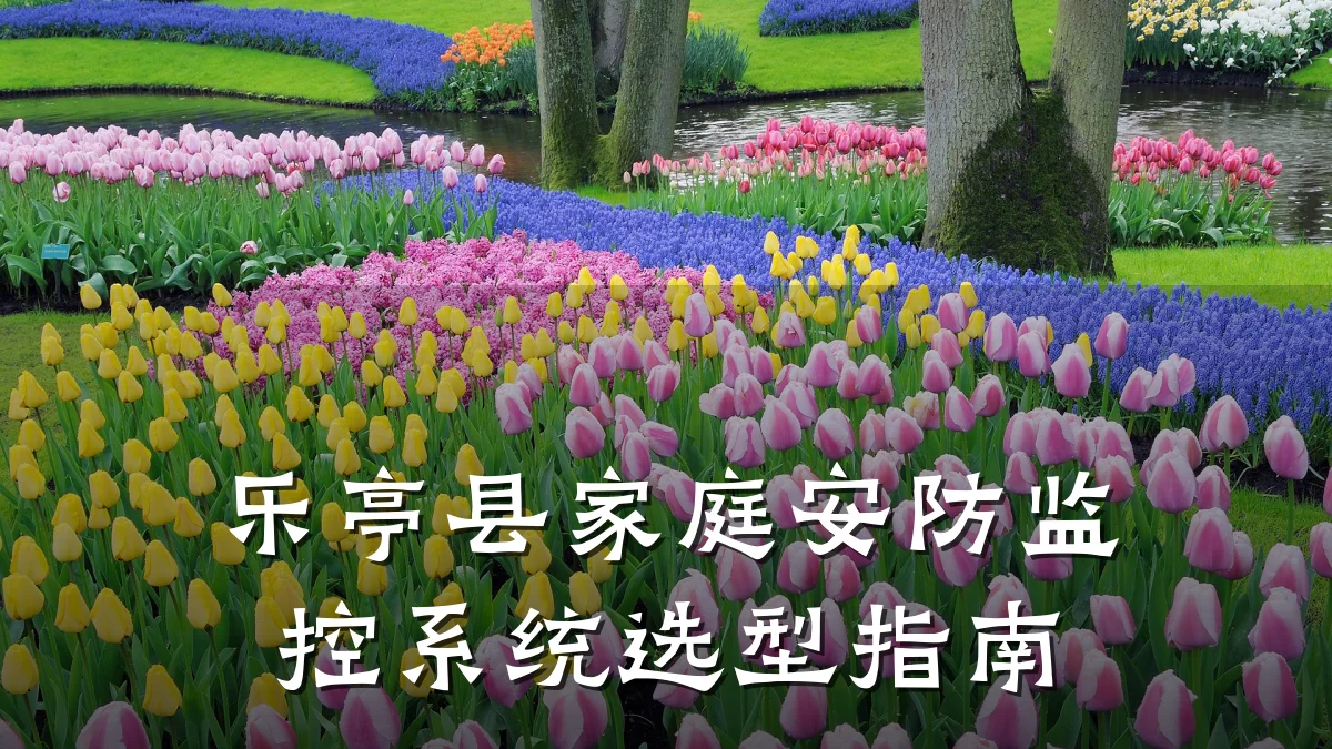 乐亭县家庭安防监控系统选型指南