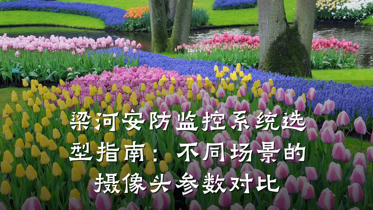 梁河安防监控系统选型指南:不同场景的摄像头参数对比