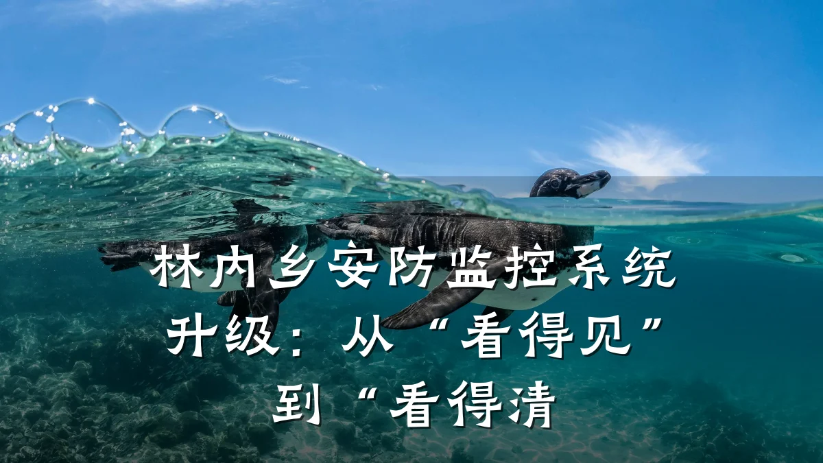 林内乡安防监控系统升级:从“看得见”到“看得清