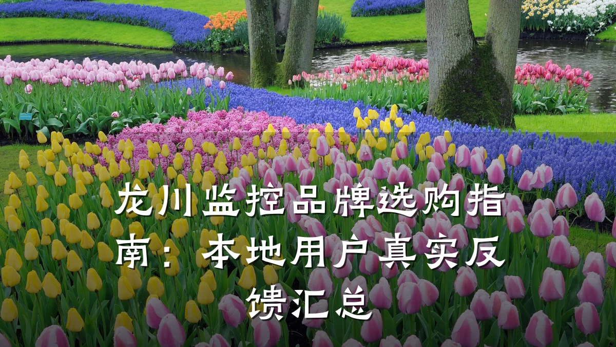龙川监控品牌选购指南:本地用户真实反馈汇总