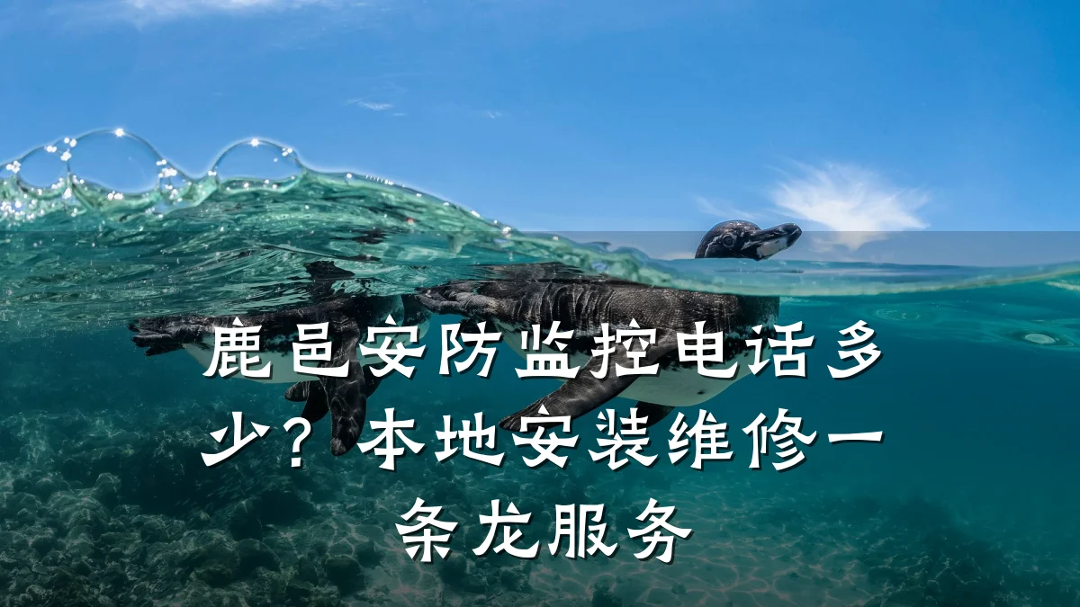 鹿邑安防监控电话多少?本地安装维修一条龙服务