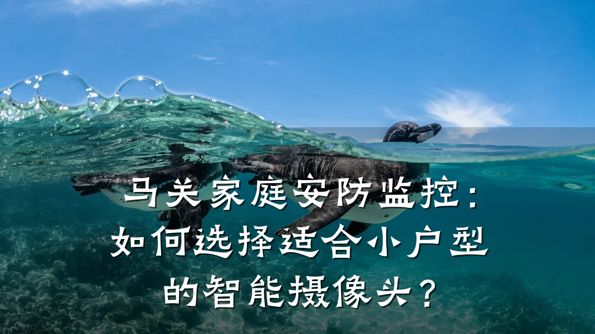 马关家庭安防监控:如何选择适合小户型的智能摄像头?