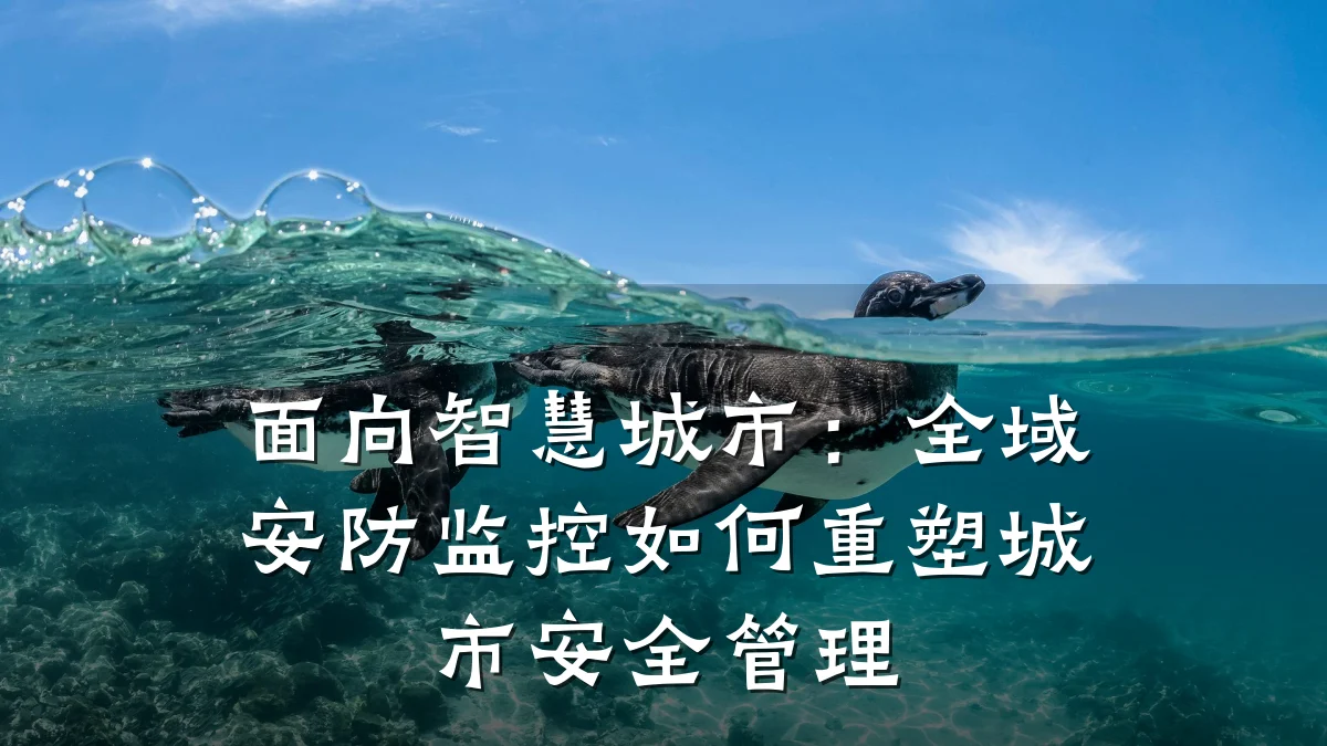 面向智慧城市:全域安防监控如何重塑城市安全管理