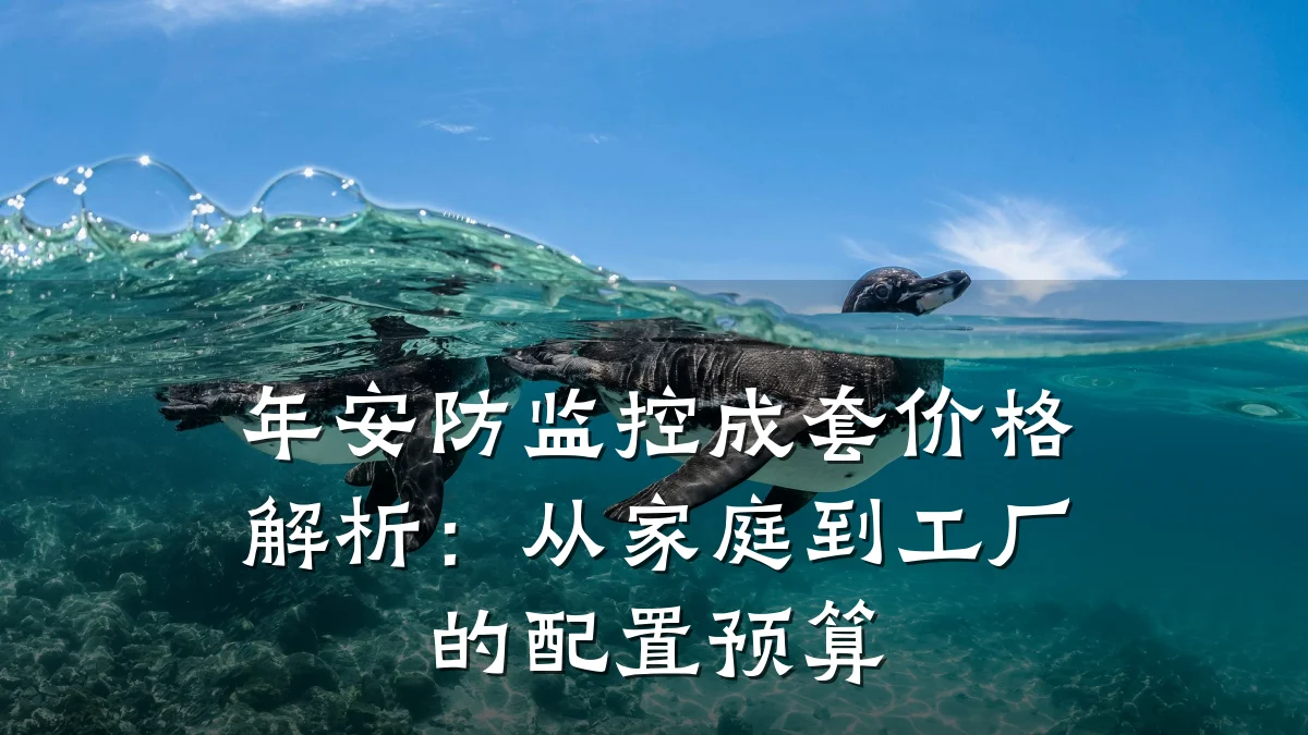 年安防监控成套价格解析:从家庭到工厂的配置预算