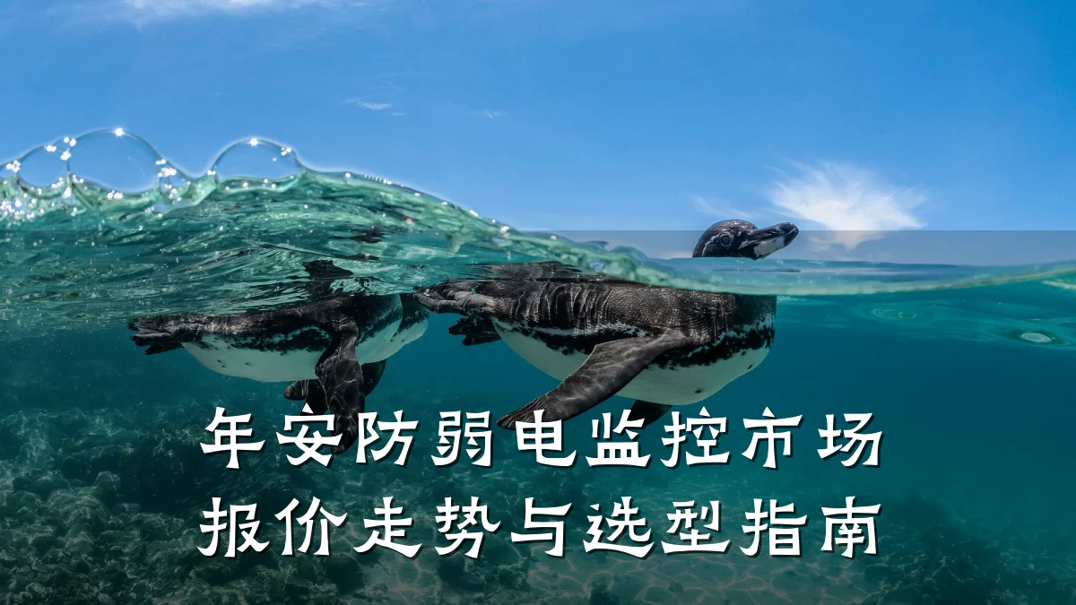 年安防弱电监控市场报价走势与选型指南