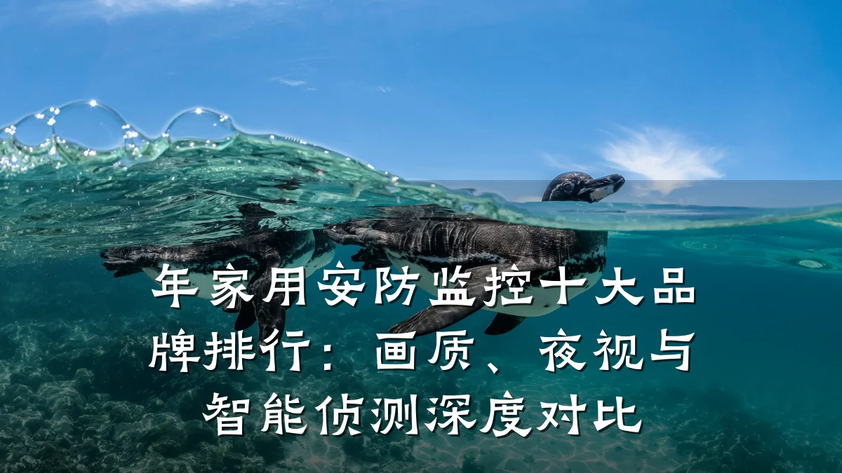 年家用安防监控十大品牌排行:画质、夜视与智能侦测深度对比