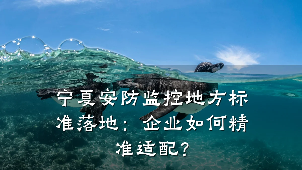宁夏安防监控地方标准落地：企业如何精准适配？