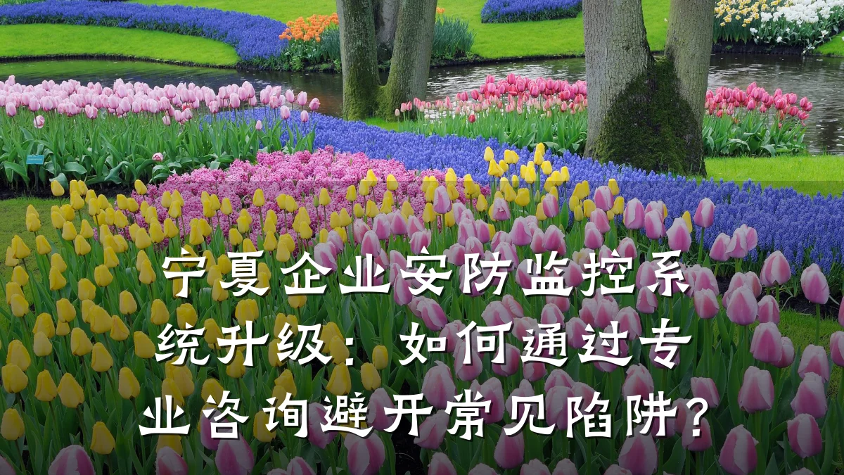 宁夏企业安防监控系统升级:如何通过专业咨询避开常见陷阱?