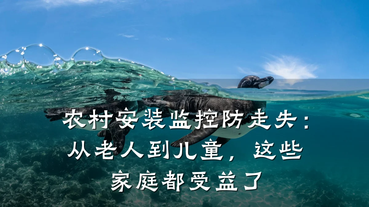 农村安装监控防走失:从老人到儿童,这些家庭都受益了