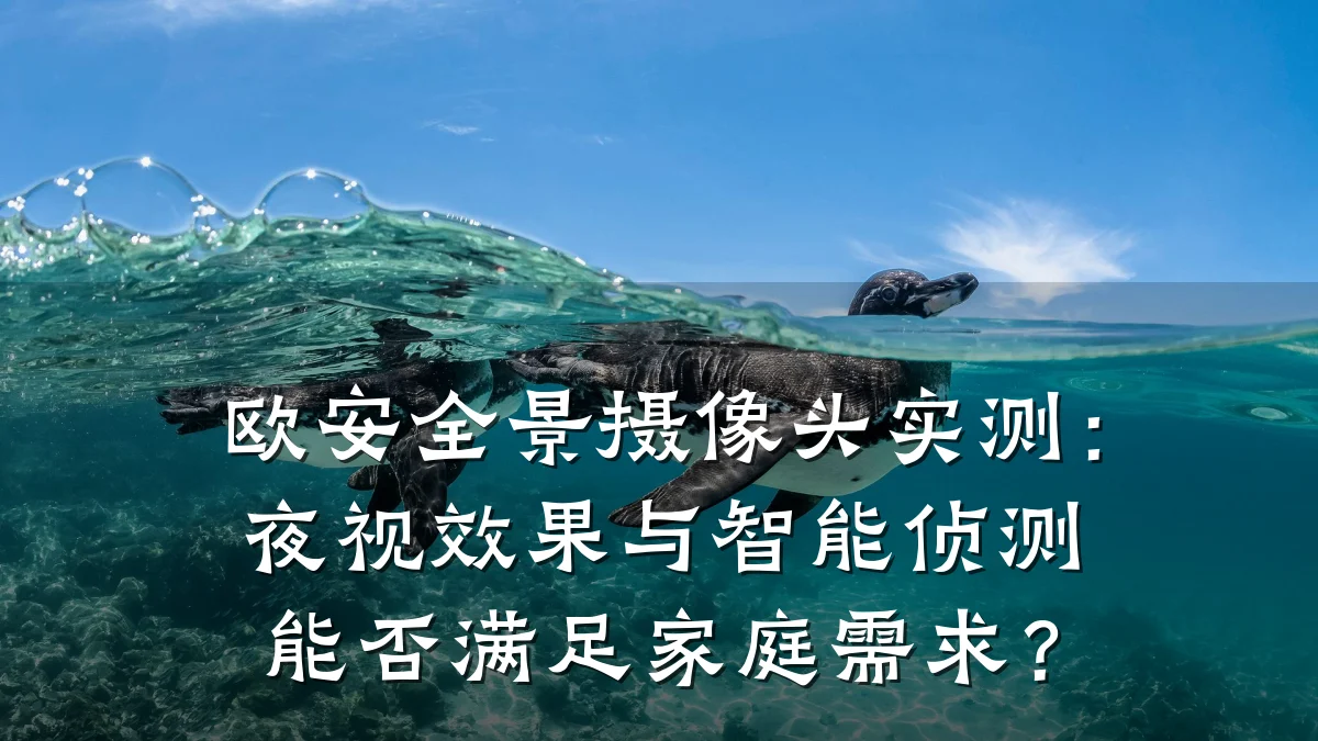 欧安全景摄像头实测:夜视效果与智能侦测能否满足家庭需求?