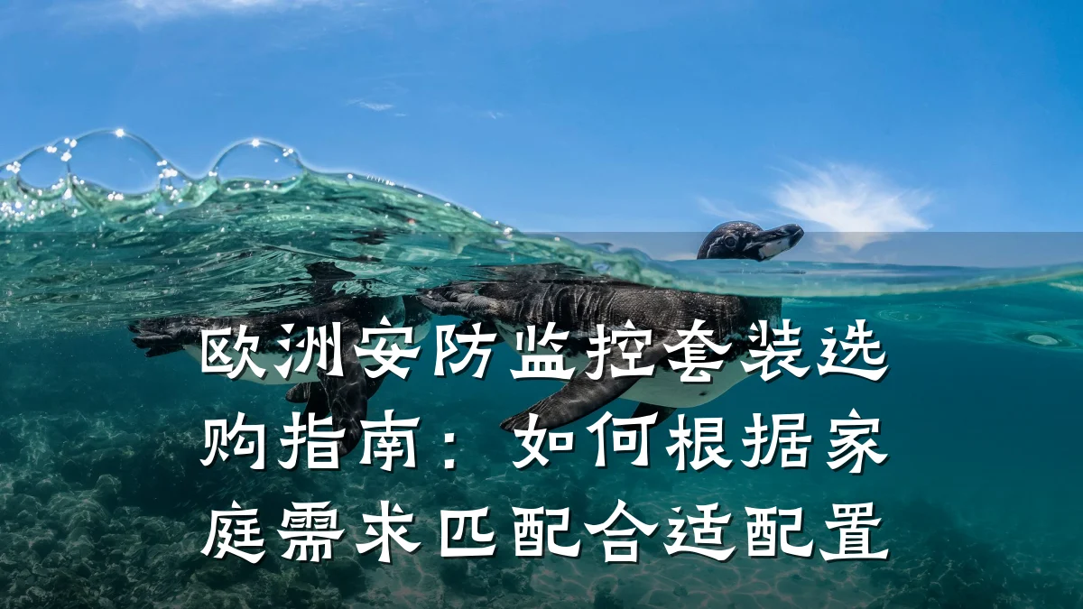 欧洲安防监控套装选购指南:如何根据家庭需求匹配合适配置
