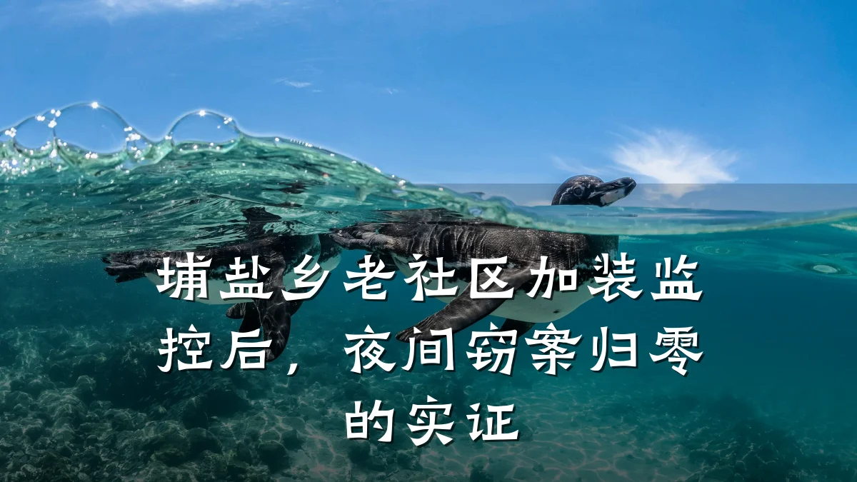 埔盐乡老社区加装监控后,夜间窃案归零的实证