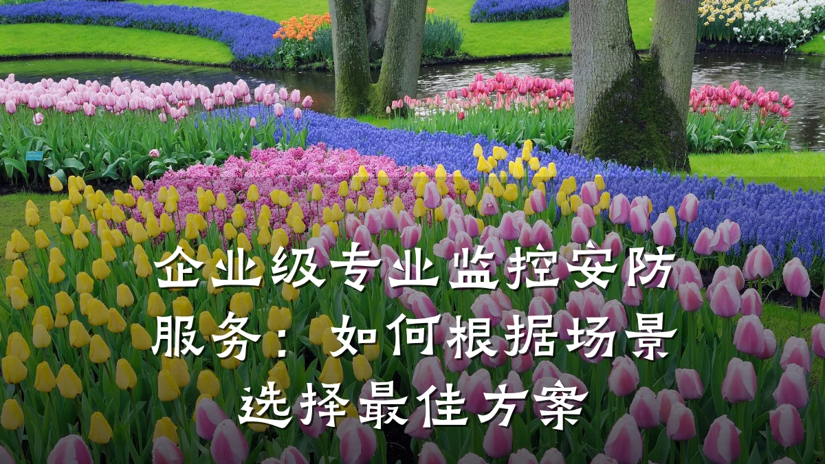 企业级专业监控安防服务:如何根据场景选择最佳方案