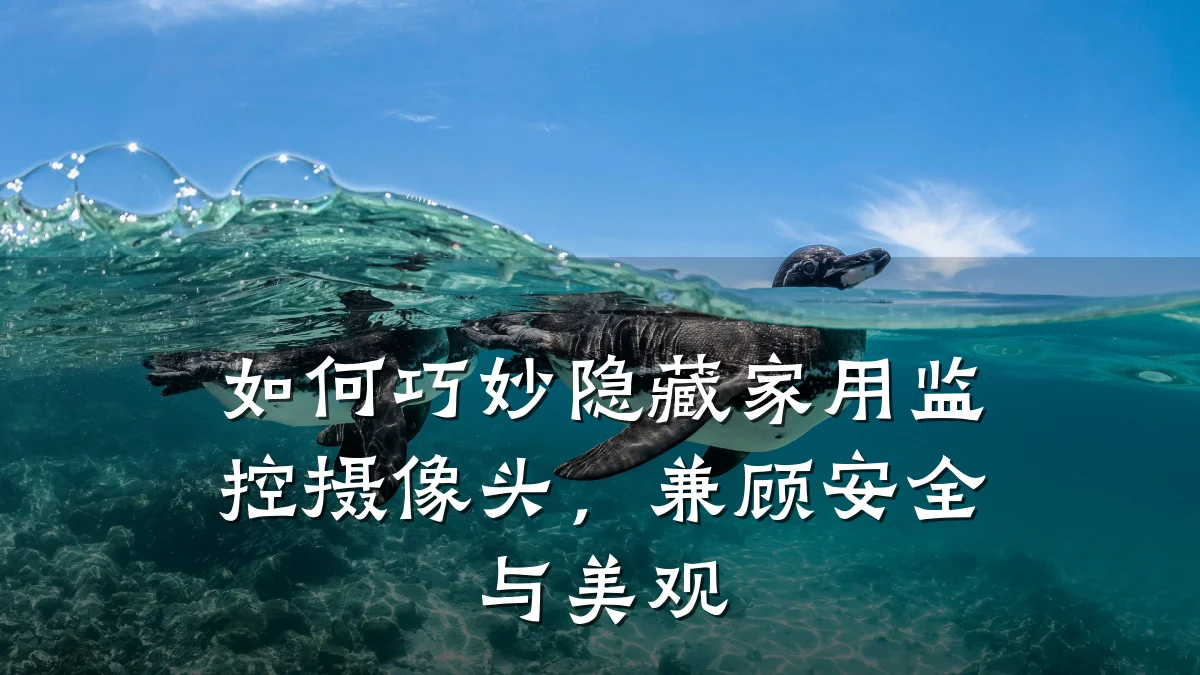 如何巧妙隐藏家用监控摄像头，兼顾安全与美观