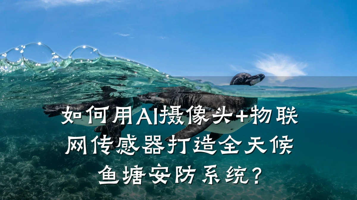 如何用AI摄像头+物联网传感器打造全天候鱼塘安防系统?