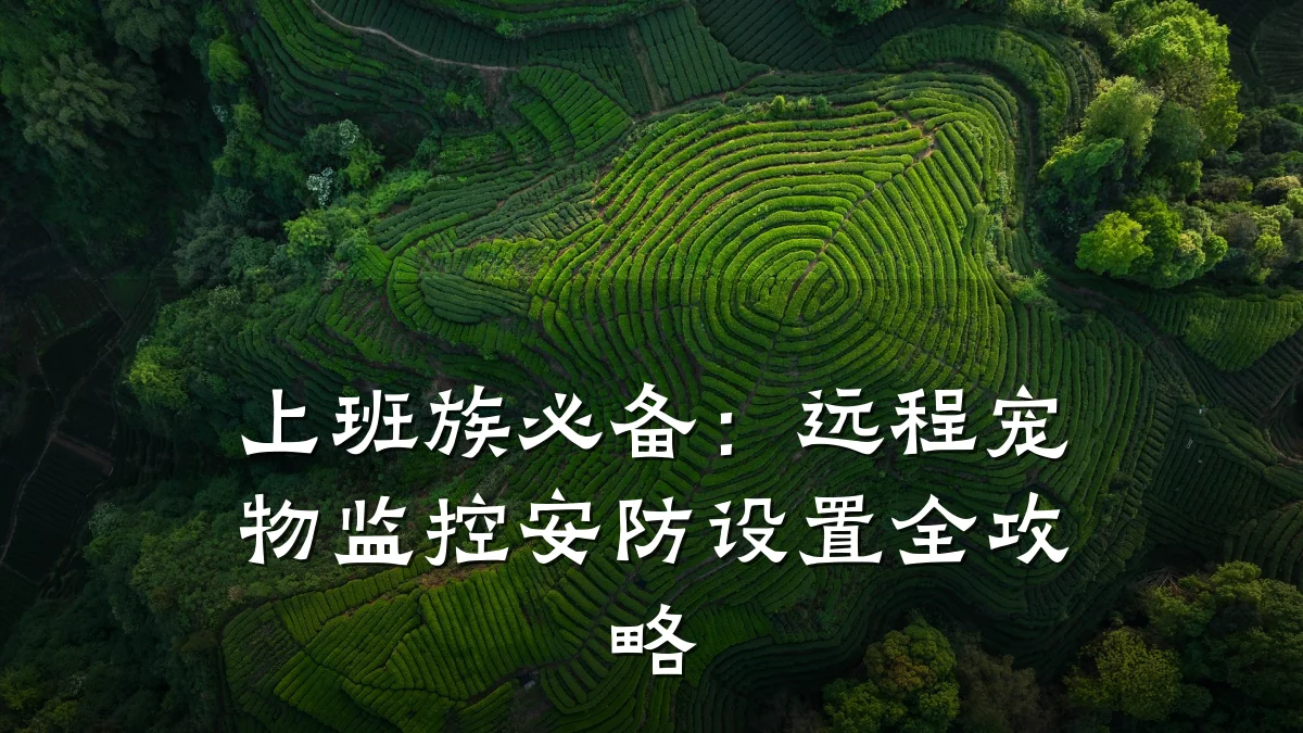 上班族必备:远程宠物监控安防设置全攻略