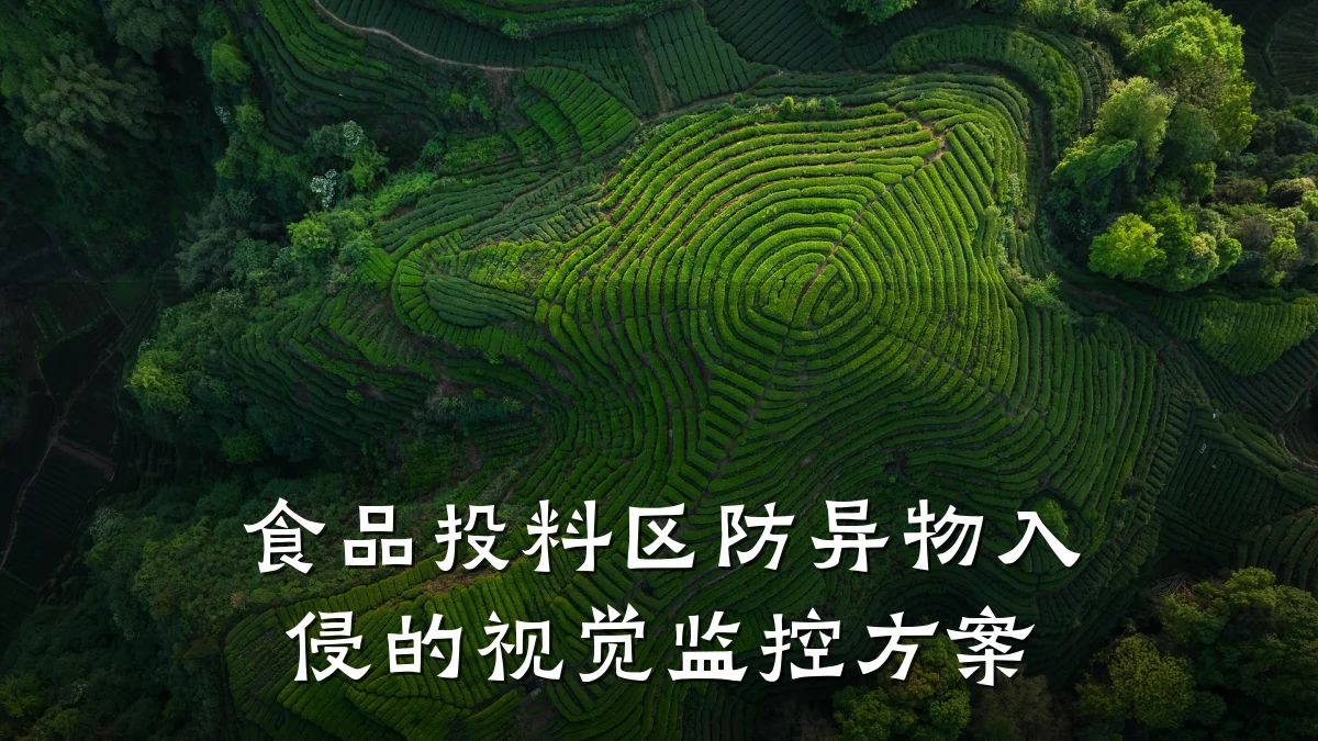 食品投料区防异物入侵的视觉监控方案