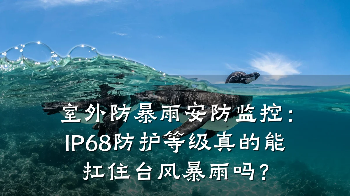 室外防暴雨安防监控:IP68防护等级真的能扛住台风暴雨吗?
