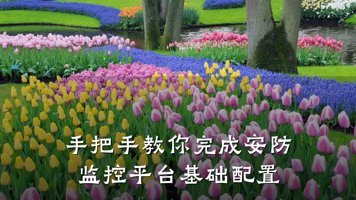手把手教你完成安防监控平台基础配置