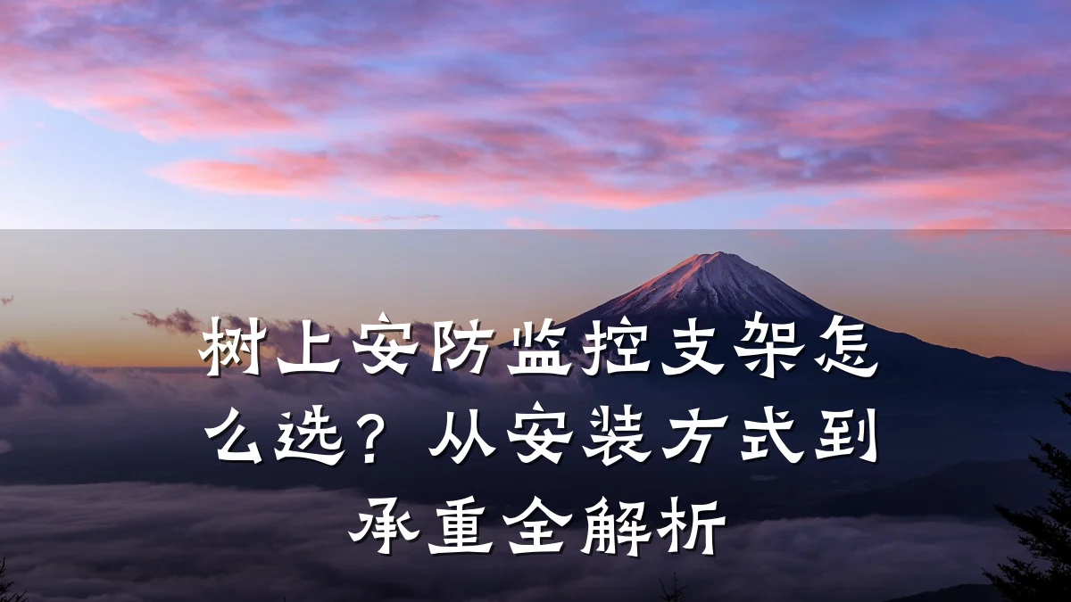树上安防监控支架怎么选?从安装方式到承重全解析