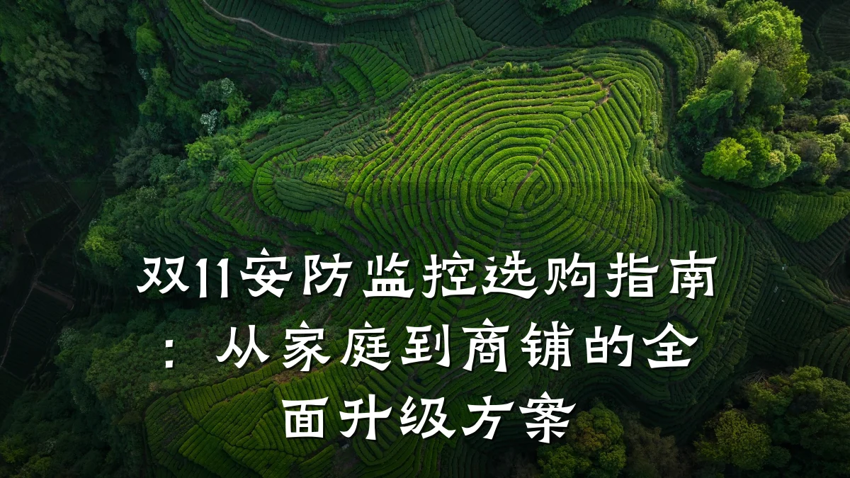 双11安防监控选购指南:从家庭到商铺的全面升级方案