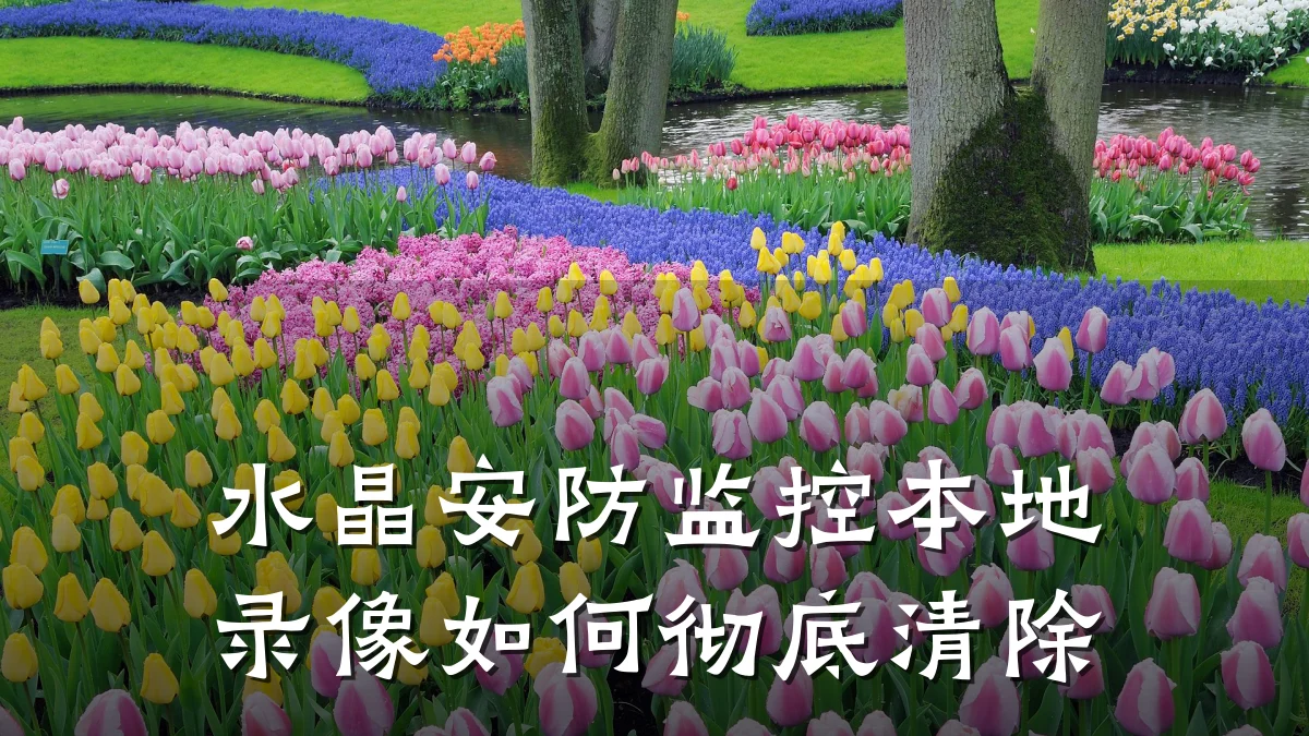 水晶安防监控本地录像如何彻底清除