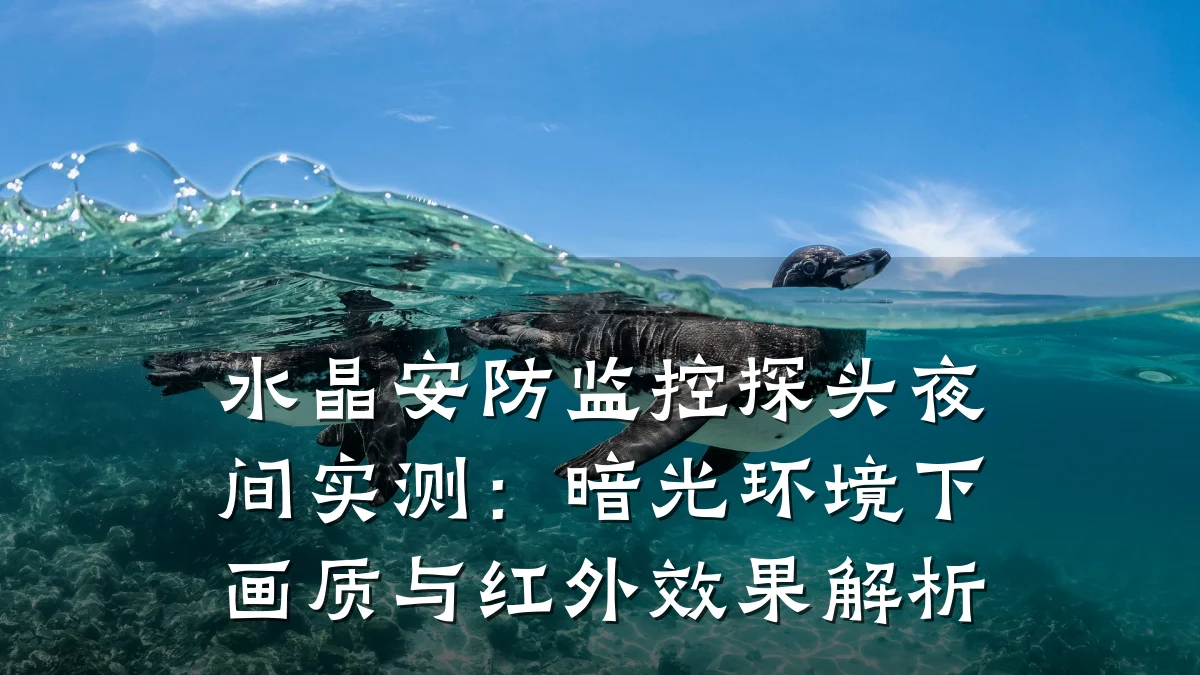 水晶安防监控探头夜间实测:暗光环境下画质与红外效果解析
