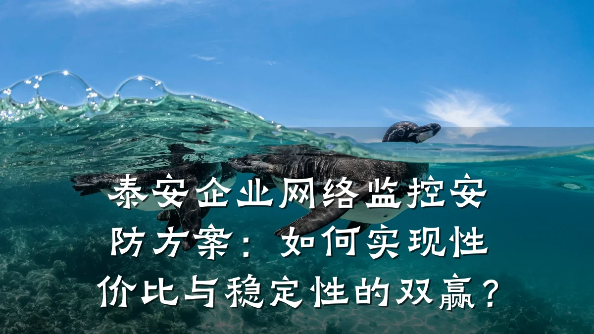 泰安企业网络监控安防方案:如何实现性价比与稳定性的双赢?