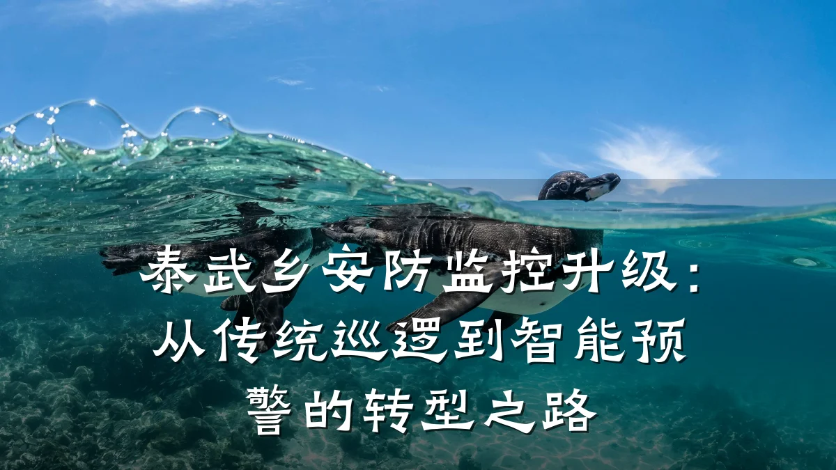 泰武乡安防监控升级:从传统巡逻到智能预警的转型之路
