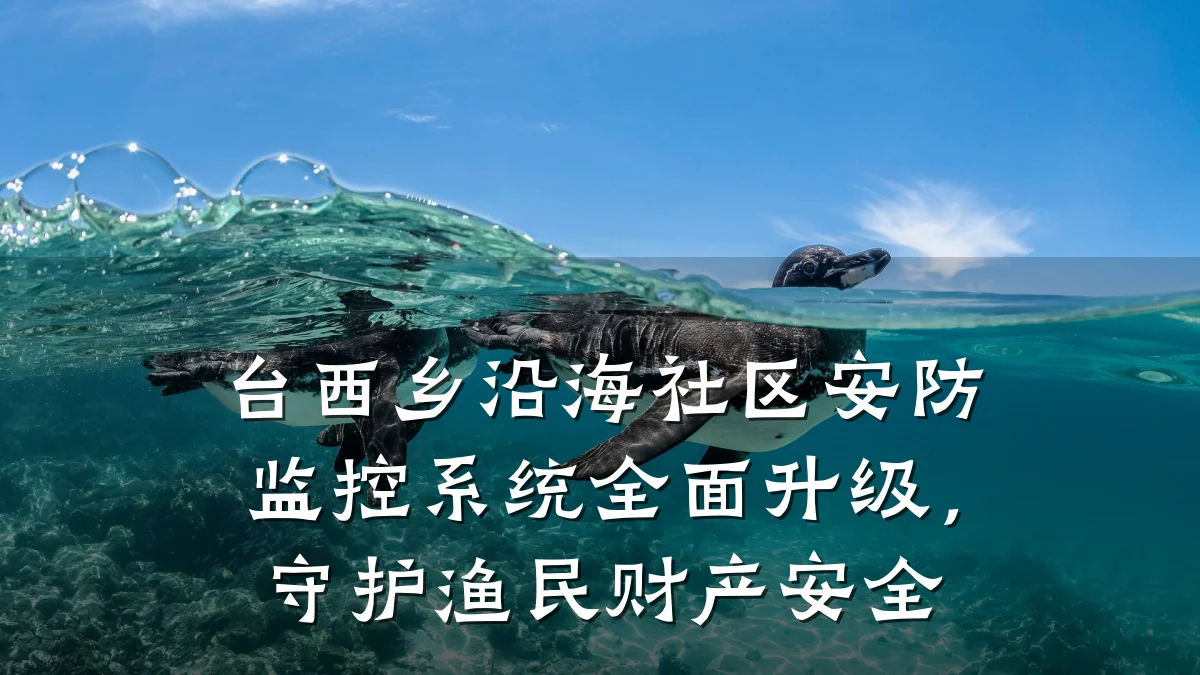 台西乡沿海社区安防监控系统全面升级,守护渔民财产安全