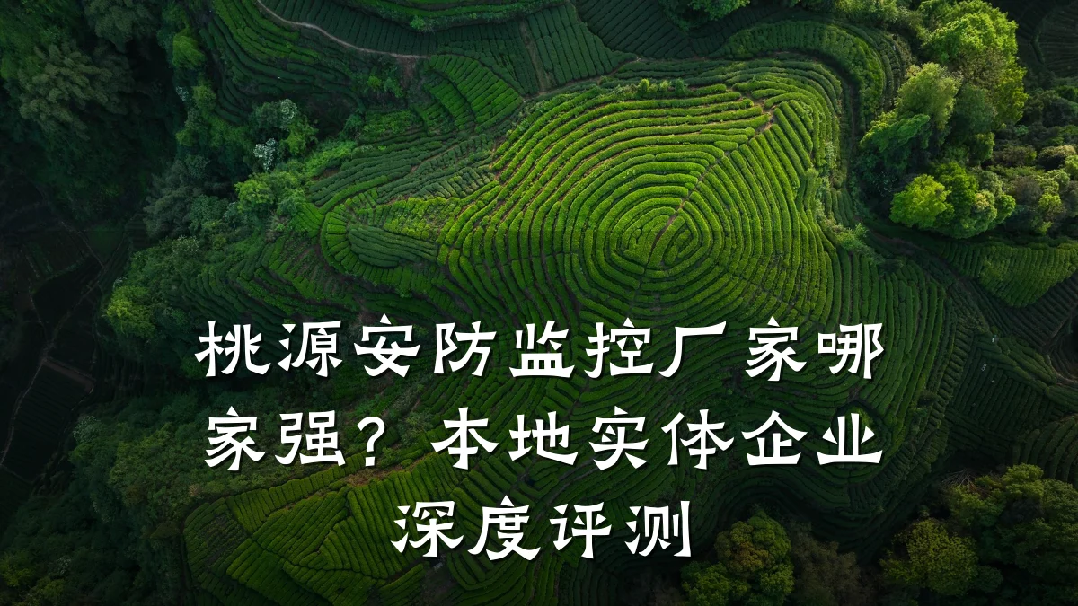 桃源安防监控厂家哪家强?本地实体企业深度评测