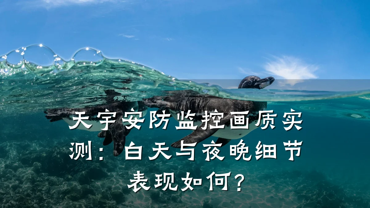 天宇安防监控画质实测:白天与夜晚细节表现如何?