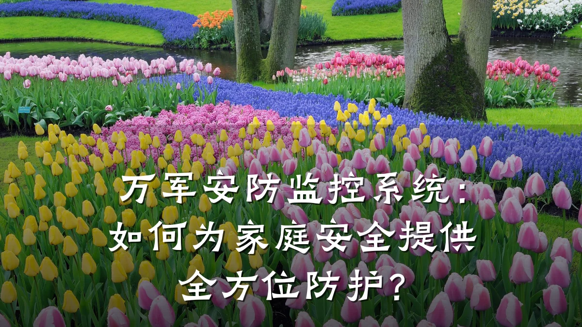 万军安防监控系统:如何为家庭安全提供全方位防护?