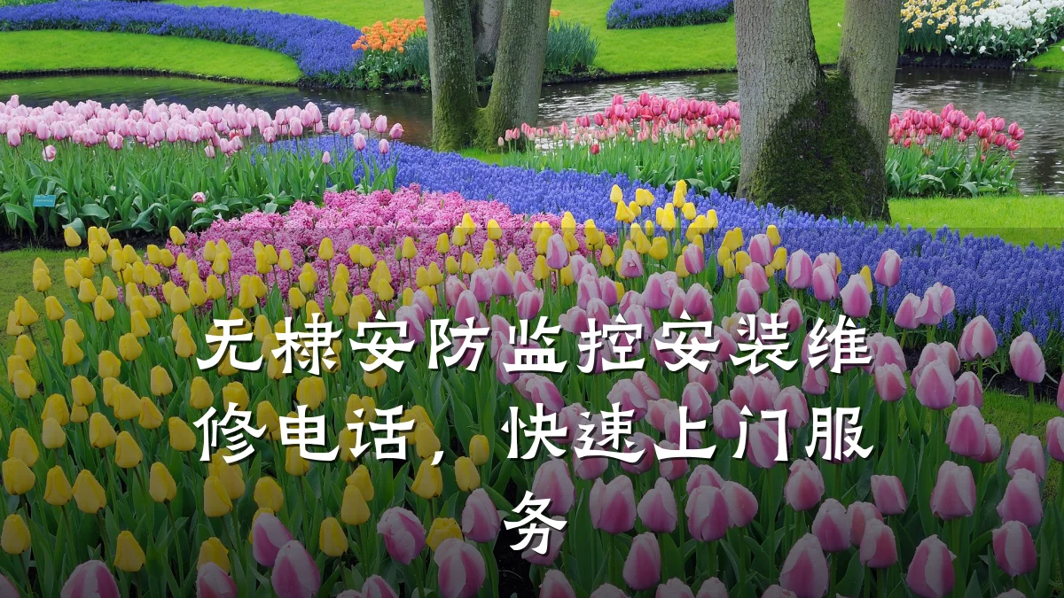 无棣安防监控安装维修电话,快速上门服务