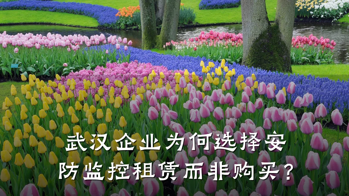 武汉企业为何选择安防监控租赁而非购买?