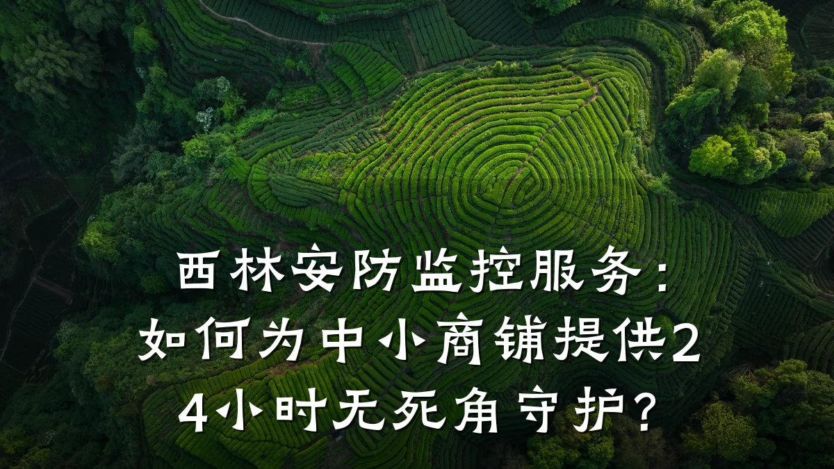 西林安防监控服务:如何为中小商铺提供24小时无死角守护?
