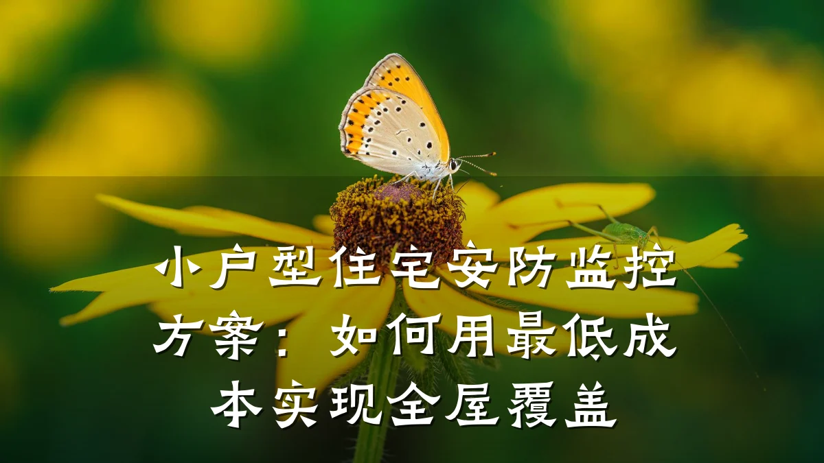小户型住宅安防监控方案:如何用最低成本实现全屋覆盖