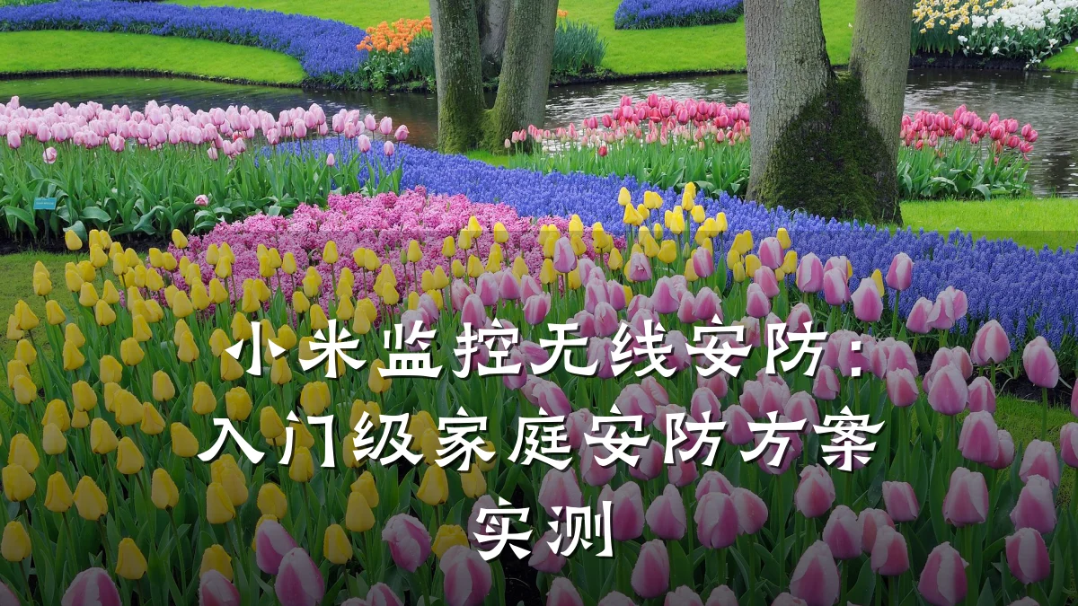 小米监控无线安防:入门级家庭安防方案实测