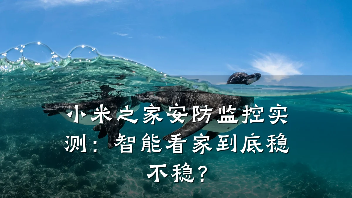 小米之家安防监控实测:智能看家到底稳不稳?