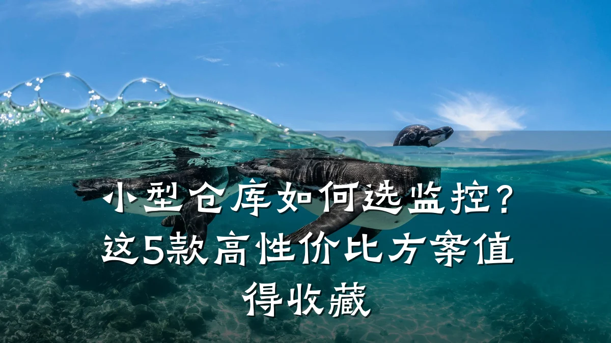 小型仓库如何选监控?这5款高性价比方案值得收藏