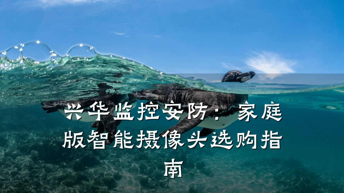 兴华监控安防:家庭版智能摄像头选购指南