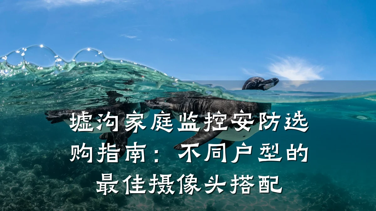 墟沟家庭监控安防选购指南:不同户型的最佳摄像头搭配