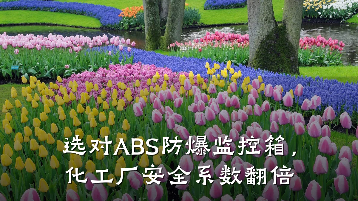 选对ABS防爆监控箱，化工厂安全系数翻倍