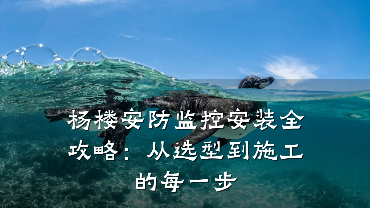 杨楼安防监控安装全攻略:从选型到施工的每一步