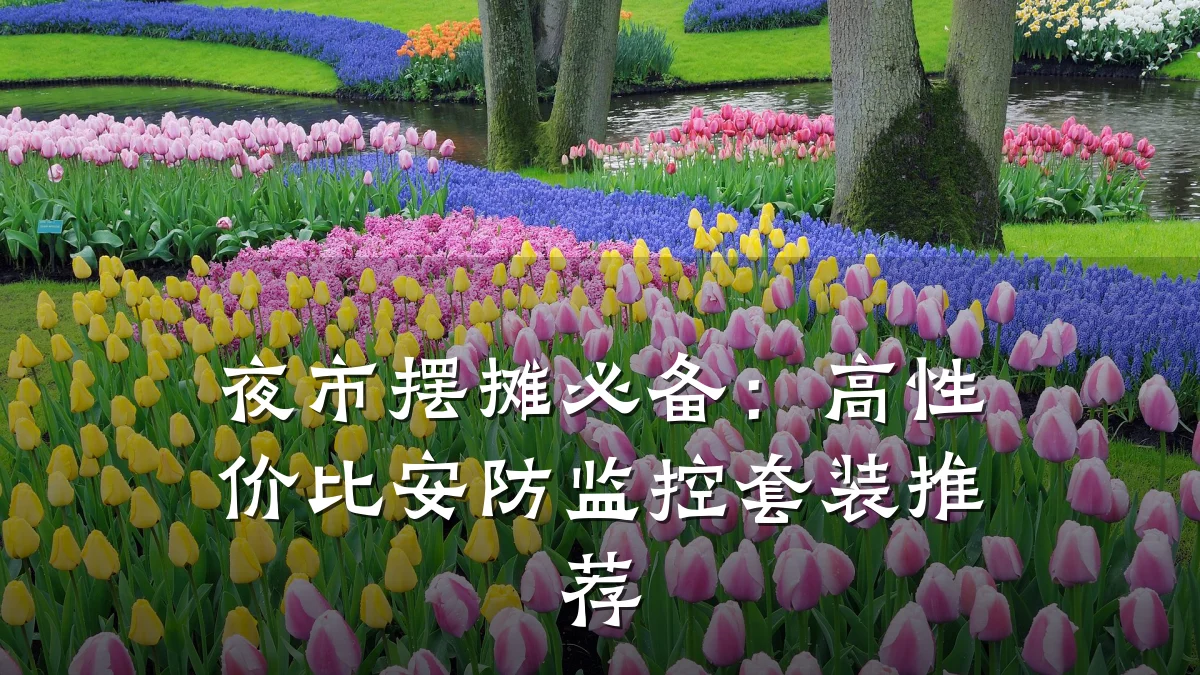 夜市摆摊必备:高性价比安防监控套装推荐