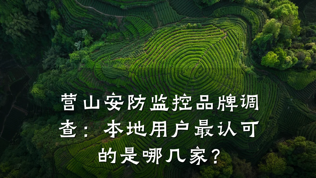 营山安防监控品牌调查:本地用户最认可的是哪几家?