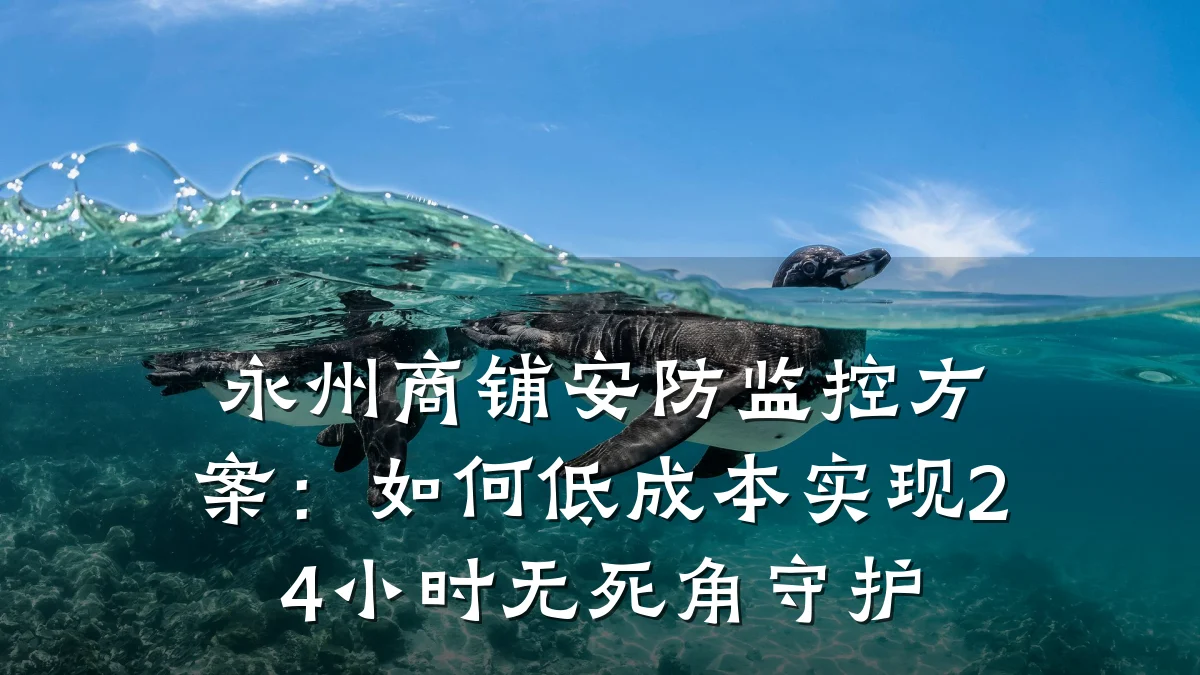 永州商铺安防监控方案：如何低成本实现24小时无死角守护
